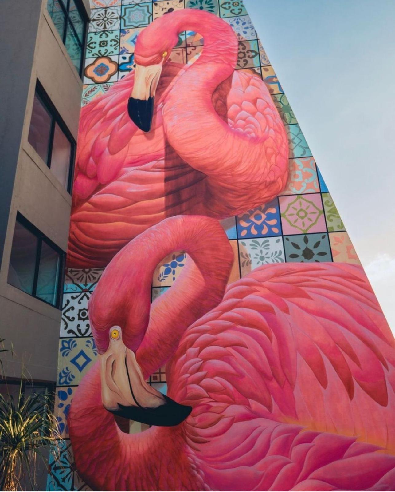 Flamingo Cancun All Inclusive المظهر الخارجي الصورة